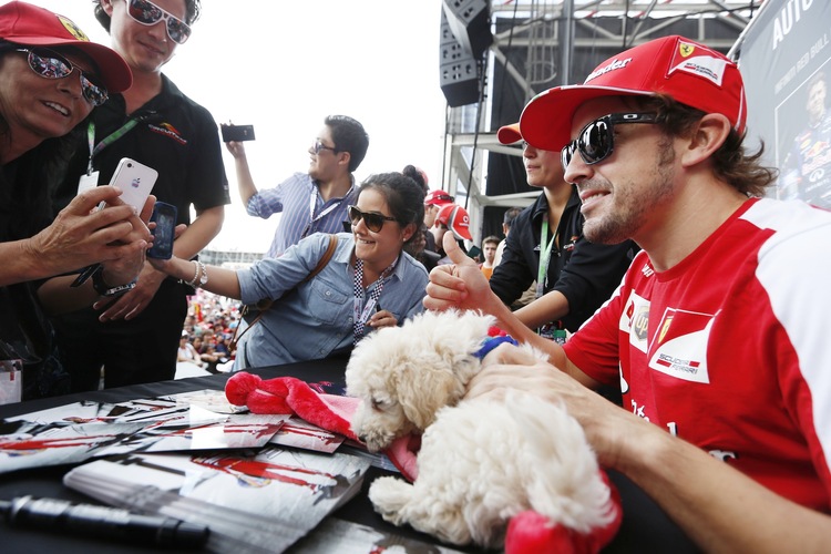 Autogrammstunde mit Fernando Alonso