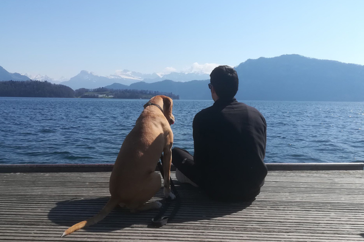 Ausflug mit Hund