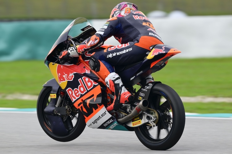 Zweiter beim Saisonauftakt, Zweiter der Rookie-Wertung: Alvaro Carpe (Red Bull KTM Ajo)