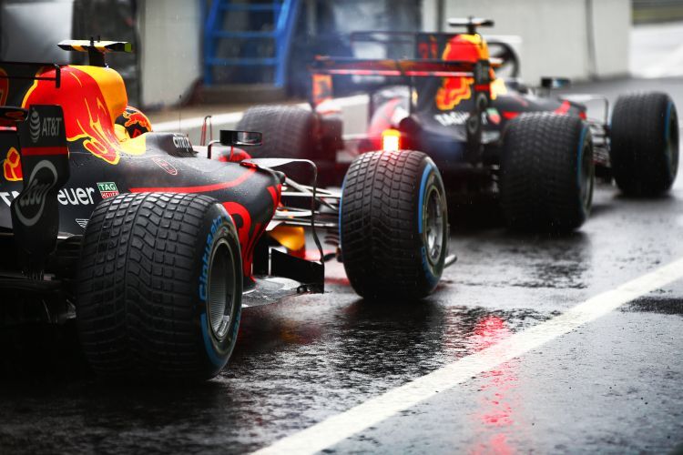 Daniel Ricciardo & Max Verstappen