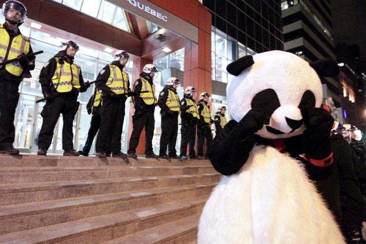 Wir stellen vor: Anarcho-Panda