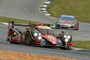 Guter Start in das Petit Le Mans für Jani, Heidfeld und Prost