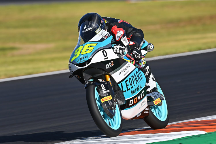 ngel Piqueras 17 Titel und 36 wecken Erwartungen Moto3