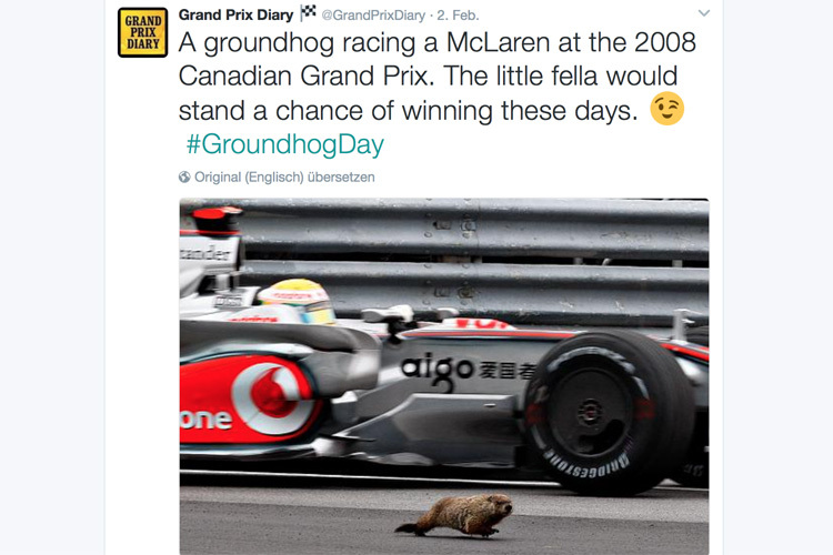 Wer ist schneller – der McLaren oder das Murmeltier?