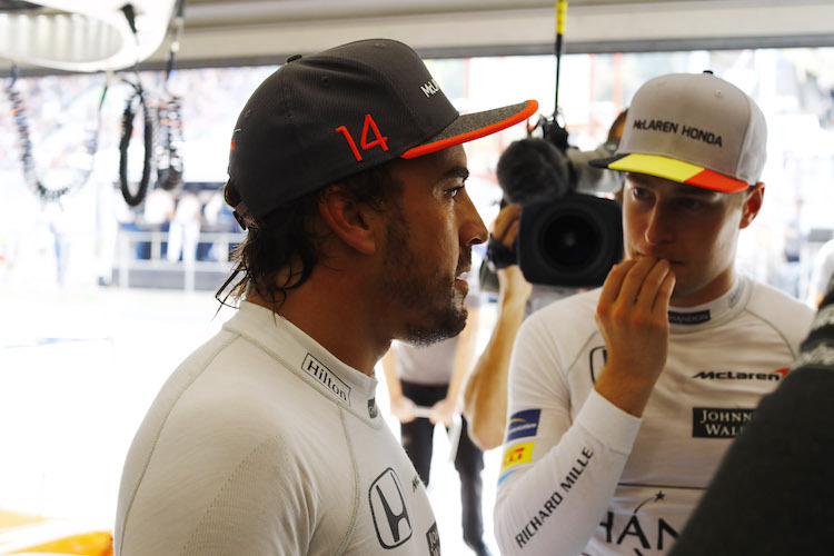Alonso und Vandoorne