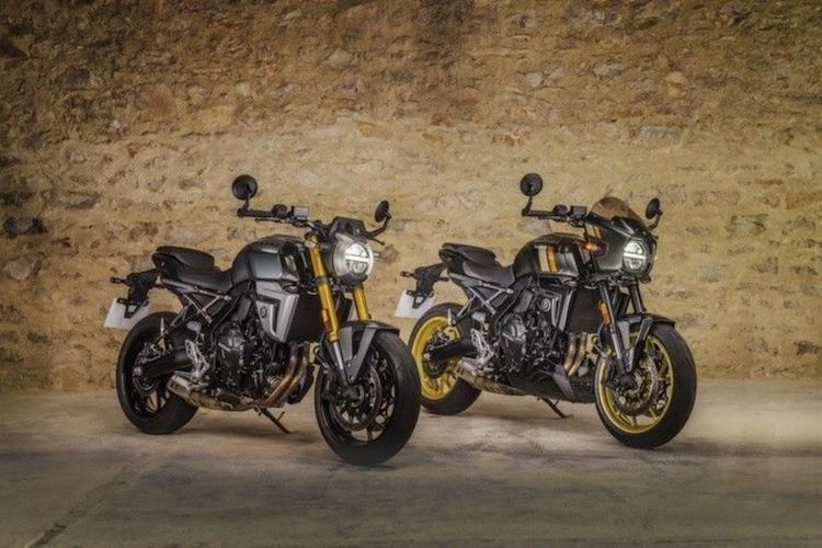 Nun-auch-Suzuki-Zwei-neue-Retro-Modelle