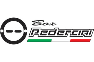 Team Pedercini: Gleiches Logo, andere Firma)