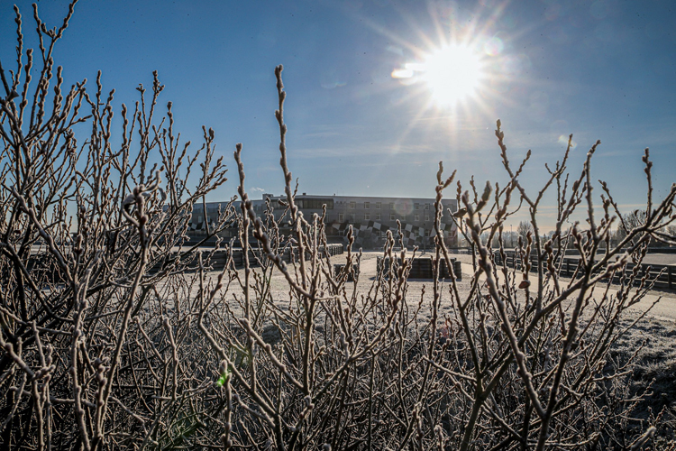 Winter in Oschersleben