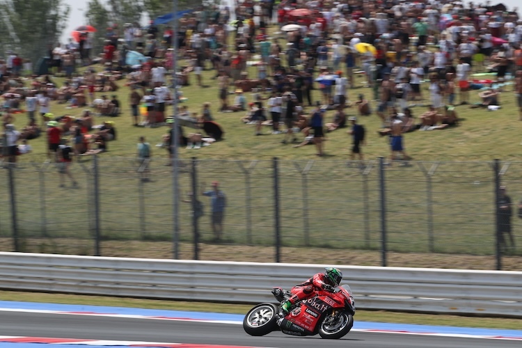 Nicolo Bulega