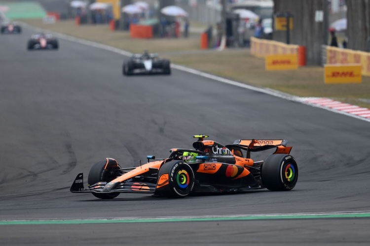 Lando Norris