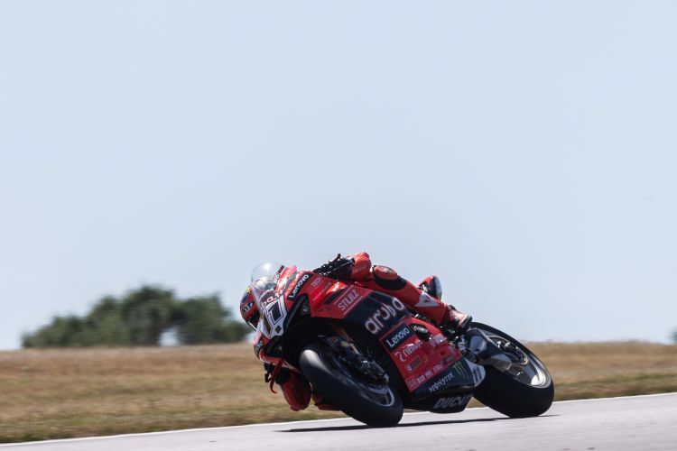 Nicolò Bulega