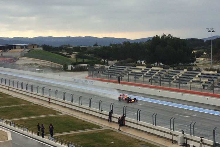 Daniel Ricciardo beim Regenreifentest