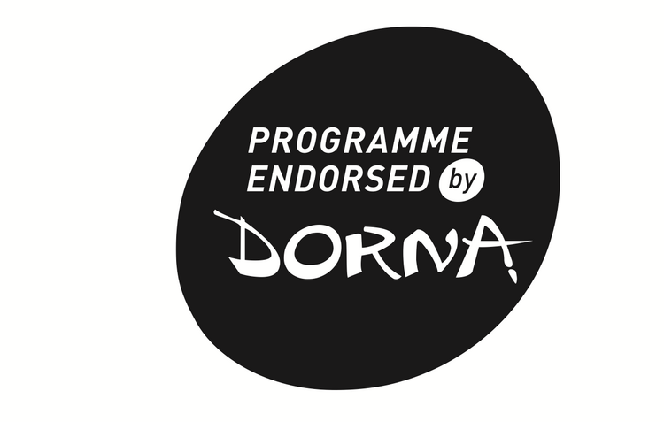 Die IDM Moto3 wird 2015 von WM-Promoter Dorna unterstützt
