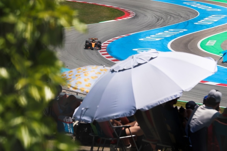 Lando Norris
