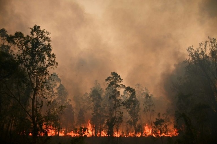 In Australien wüten die schlimmsten Buschbrände