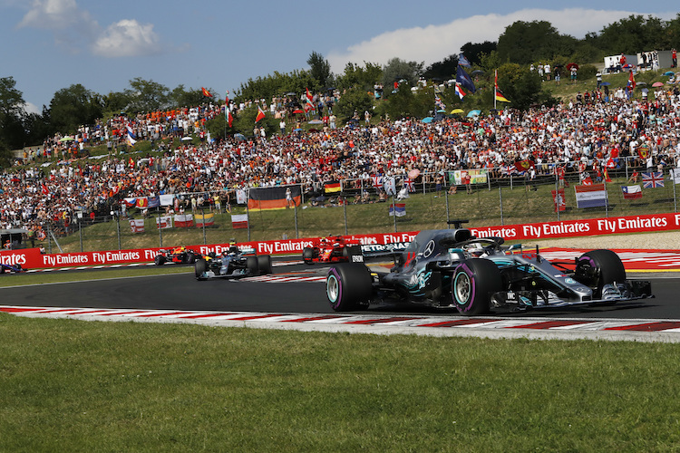 Lewis Hamilton sicherte sich auf dem Hungaroring den Sieg