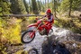 Ducati Desmo 450EDX: Cross-Country-Version der Desmo 450MX, in den USA ab Januar 2026 erhältlich