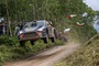 Thierry Neuville sprang zum Tagessieg