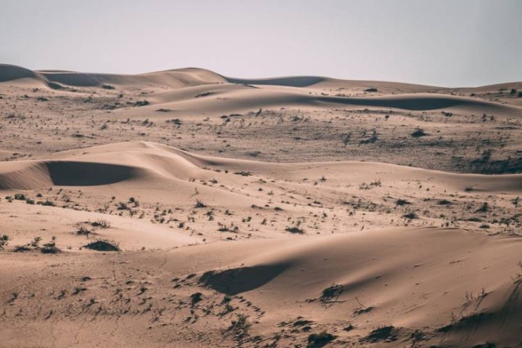 Die Wüste in Saudi-Arabien hat viele Gesichter