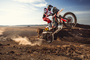 Joan Barreda Bort: Der Spanier gehört mit 28 Etappensiegen zu den drei erfolgreichsten Fahrern der Dakar-Historie, lediglich der Gesamtsieg fehlt noch