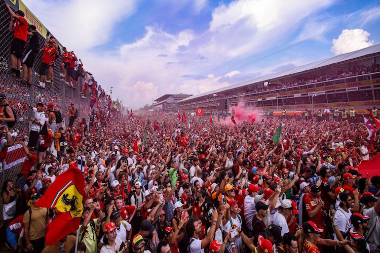 Die Tifosi feierten in Monza den Ferrari-Sieg von Charles Leclerc