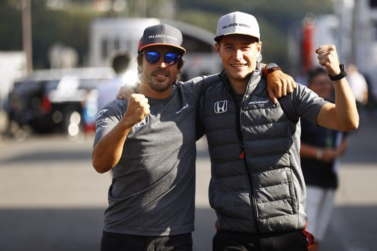 Fernando Alonso und Stoffel Vandoorne
