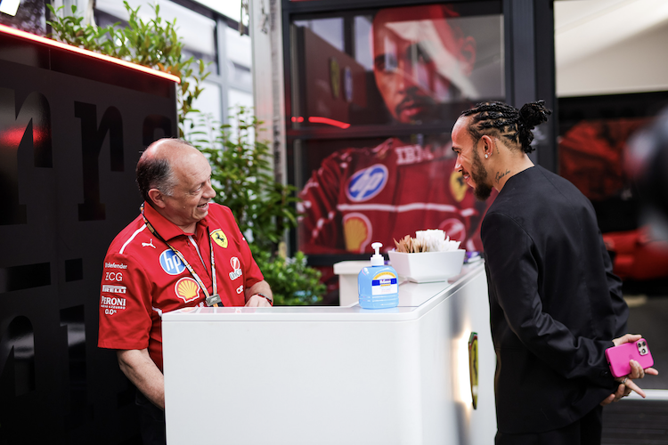 Ferrari-Teamchef Fred Vasseur und Lewis Hamilton