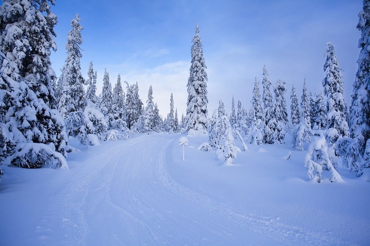 Die Region Dalarna soll eine Winterrallye garantieren