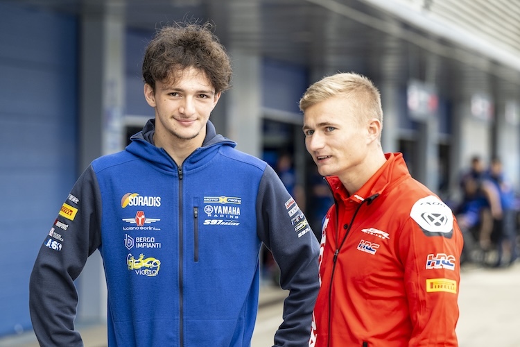 Rato und Vickers