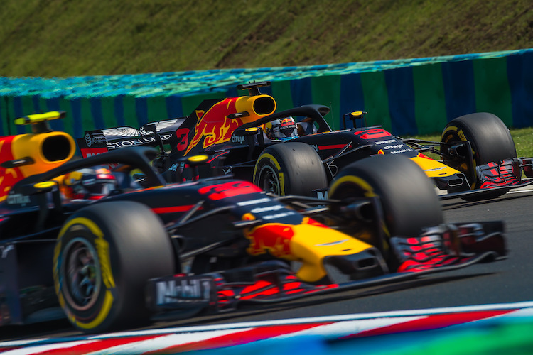 Max Verstappen und Daniel Ricciardo