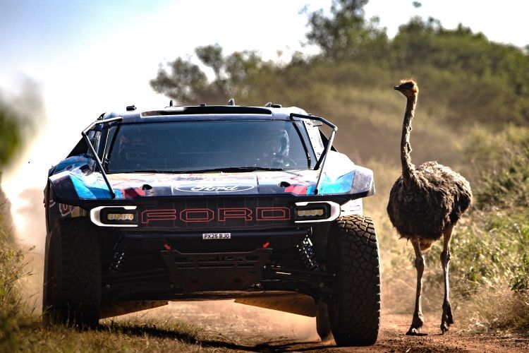 Der Rallye Raid-Ford Raptor: Für einmal auch ein Spielmobil für die Sainz-Family