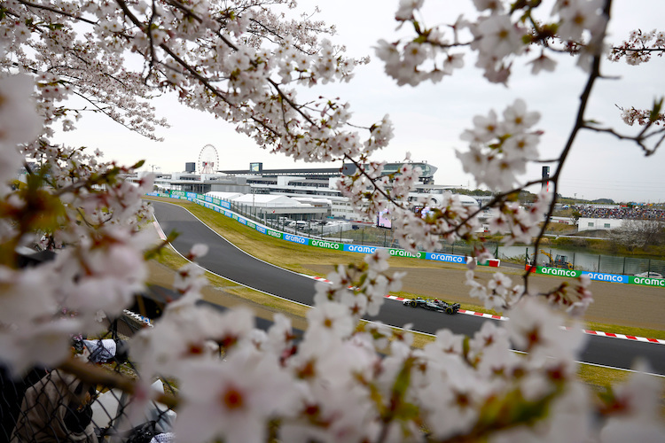Lewis Hamilton in Suzuka