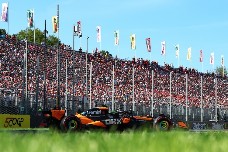 Lando Norris