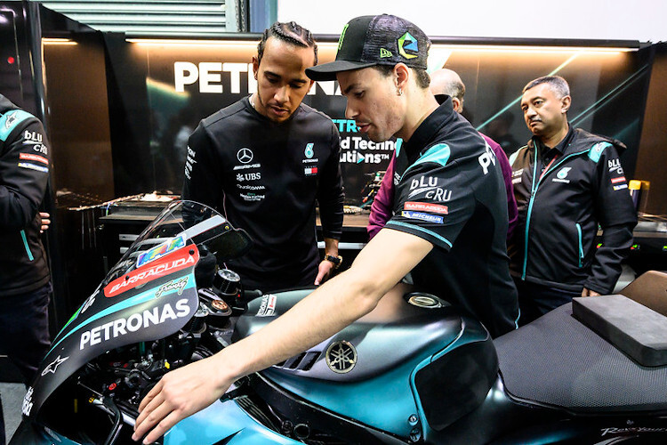Schon in Doha war Lewis Hamilton interessierter Gast in der Petronas-Box von Franco Morbidelli