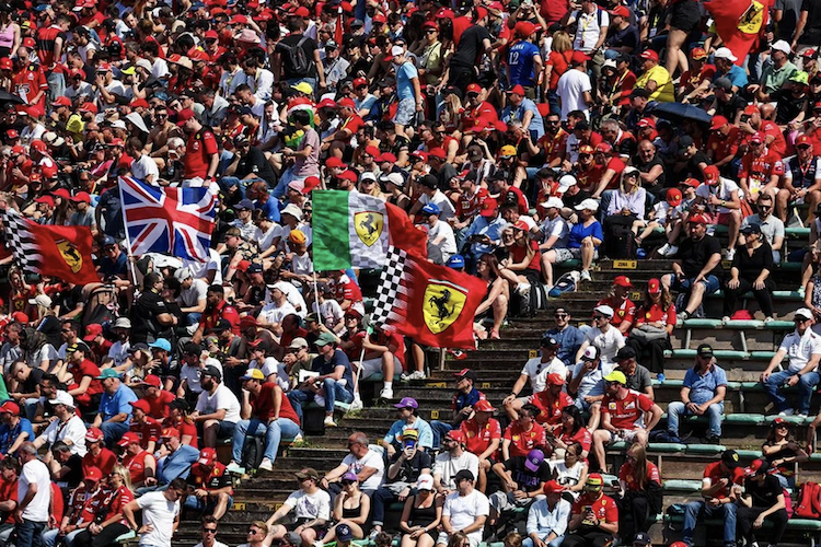 Die Fans fiebern dem ersten Imola-Training entgegen