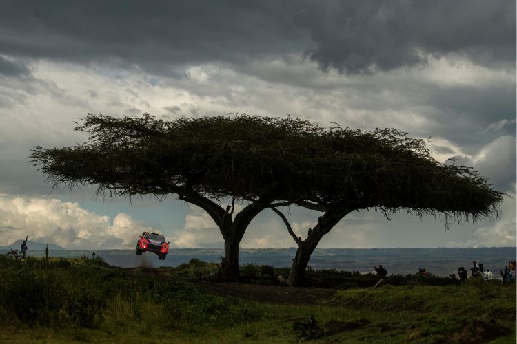 Einer der Höhepunkte der Rallye-Weltmeisterschaft 2025: Die Rallye Kenia aka Safari-Rallye