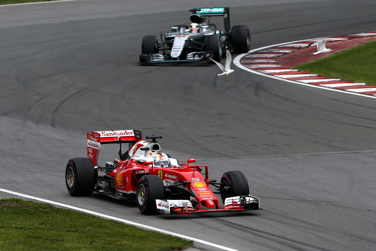 Vettel neben der Ideallinie, die Möwen endlich in der Luft, hinten schiesst Hamilton heran