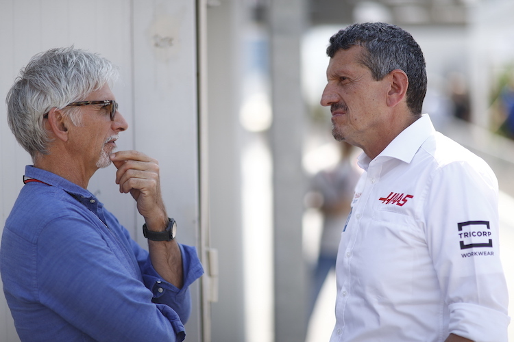 Damon Hill und Haas-Teamchef Günther Steiner