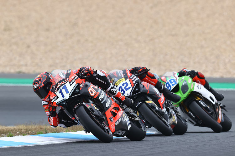 Bulega and Bayliss