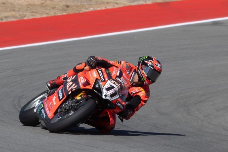 Nicolò Bulega