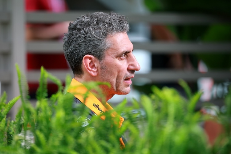 Andrea Stella