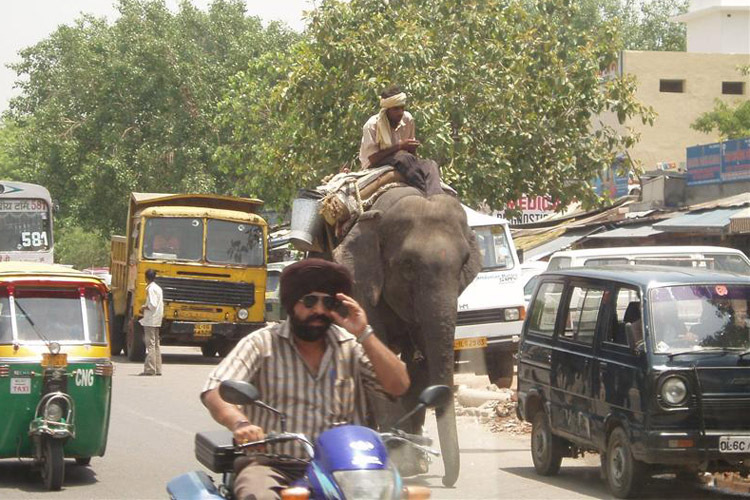 Eine ganz normale Szene in Delhi.