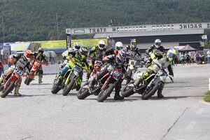 Hiebl (205), Bauer (69) und Buschberger (7))