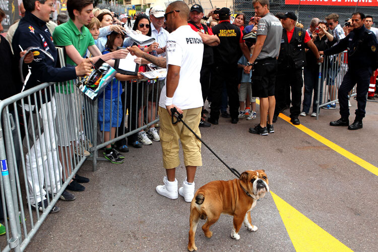 Lewis Hamilton mit Hund Roscoe