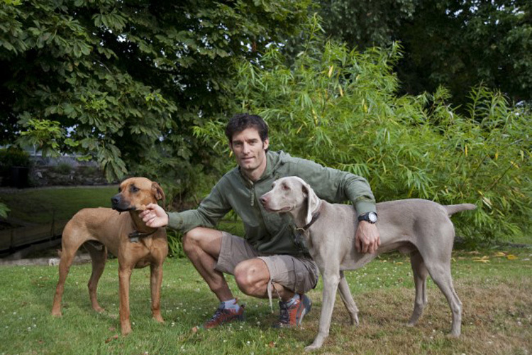 Mark Webber ist Hundeliebhaber