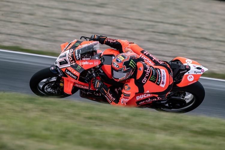 Nicolo Bulega
