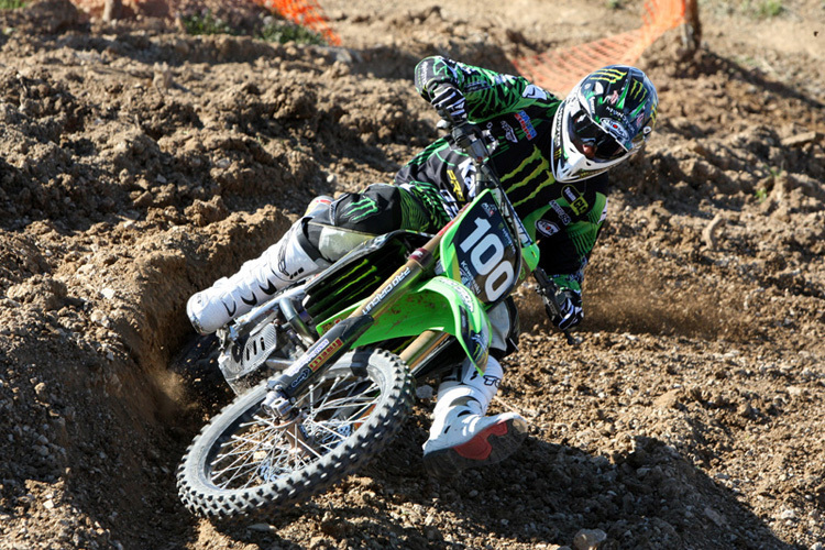 Gut in Form: Tommy Searle