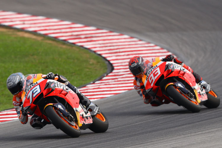 Das Repsol-Honda-Duo für die MotoGP-Saison 2020: Alex und Marc Márquez