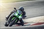 Kawasaki ZX-6R: Mit 636 ccm Hubraum passt die Mittelklasse-Ninja in keine Rennklasse