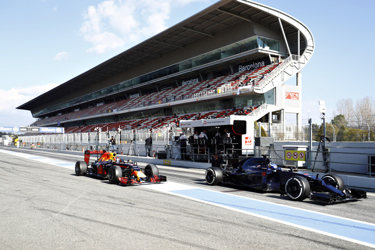 Max Verstappen im Toro Rosso vor Daniil Kvyat im Red Bull Racing